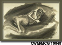 Camp de concentration - Typhus CWM/MCG 10848