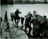 Des marins canadiens secourent un cheval