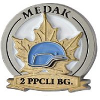 Battle of Medak Lapel Pin