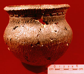 Specimen 11 - S2000-5692 - CD2000-159-024