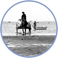 Une charrette de plage