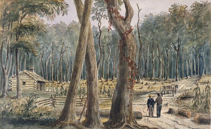 Ferme établie dans une forêt près de Chatham, 1838