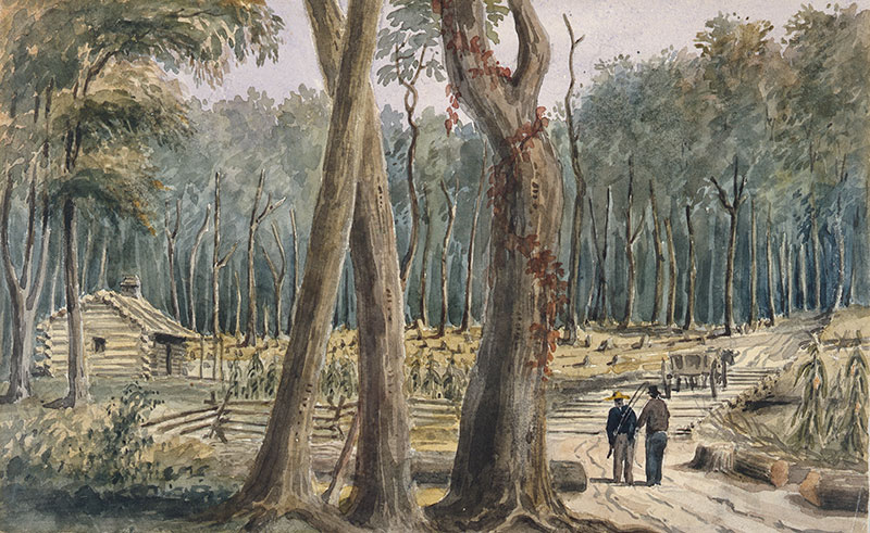 Bush Farm near Chatham, 1838