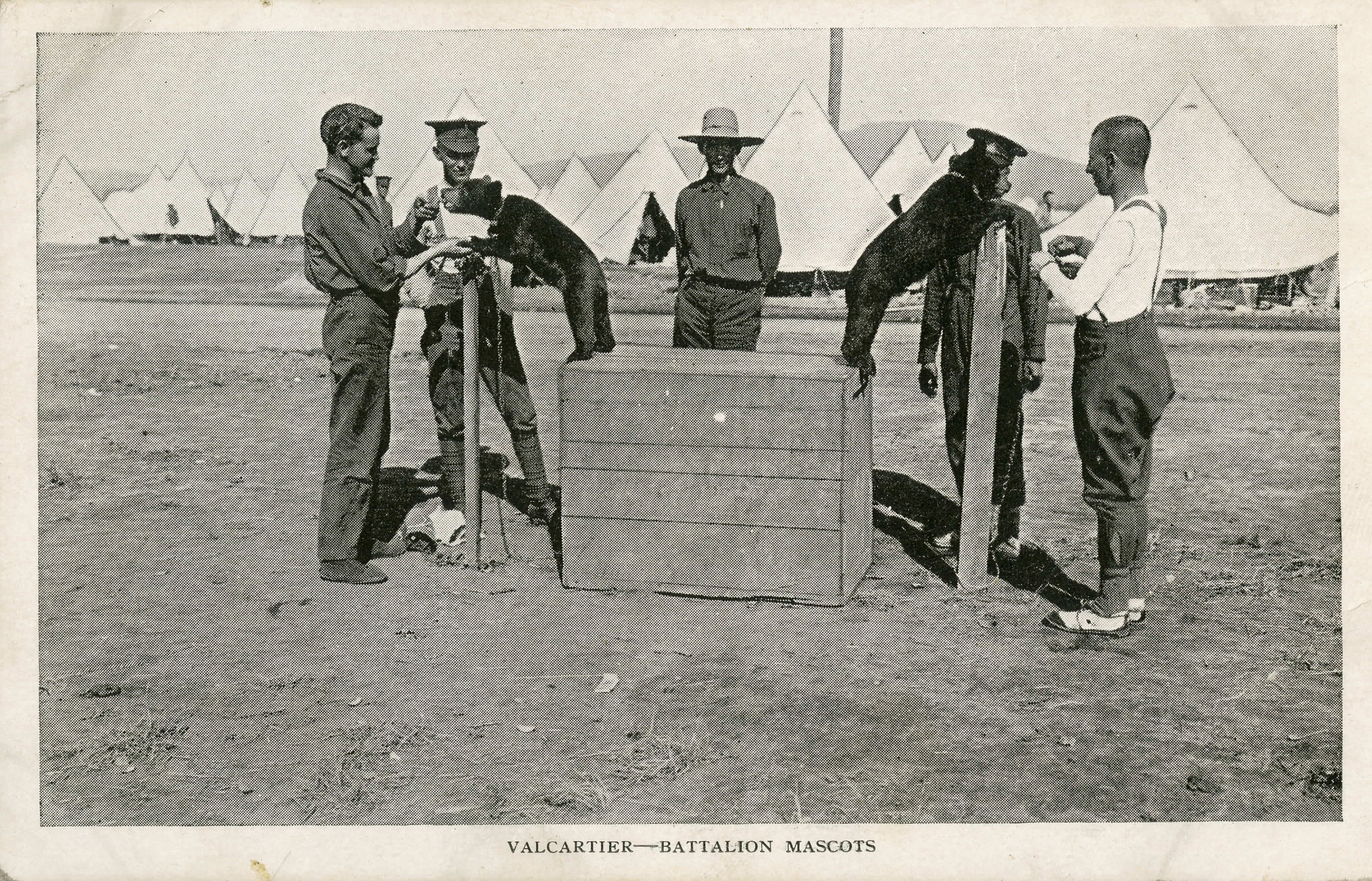 Les mascottes de Valcartier