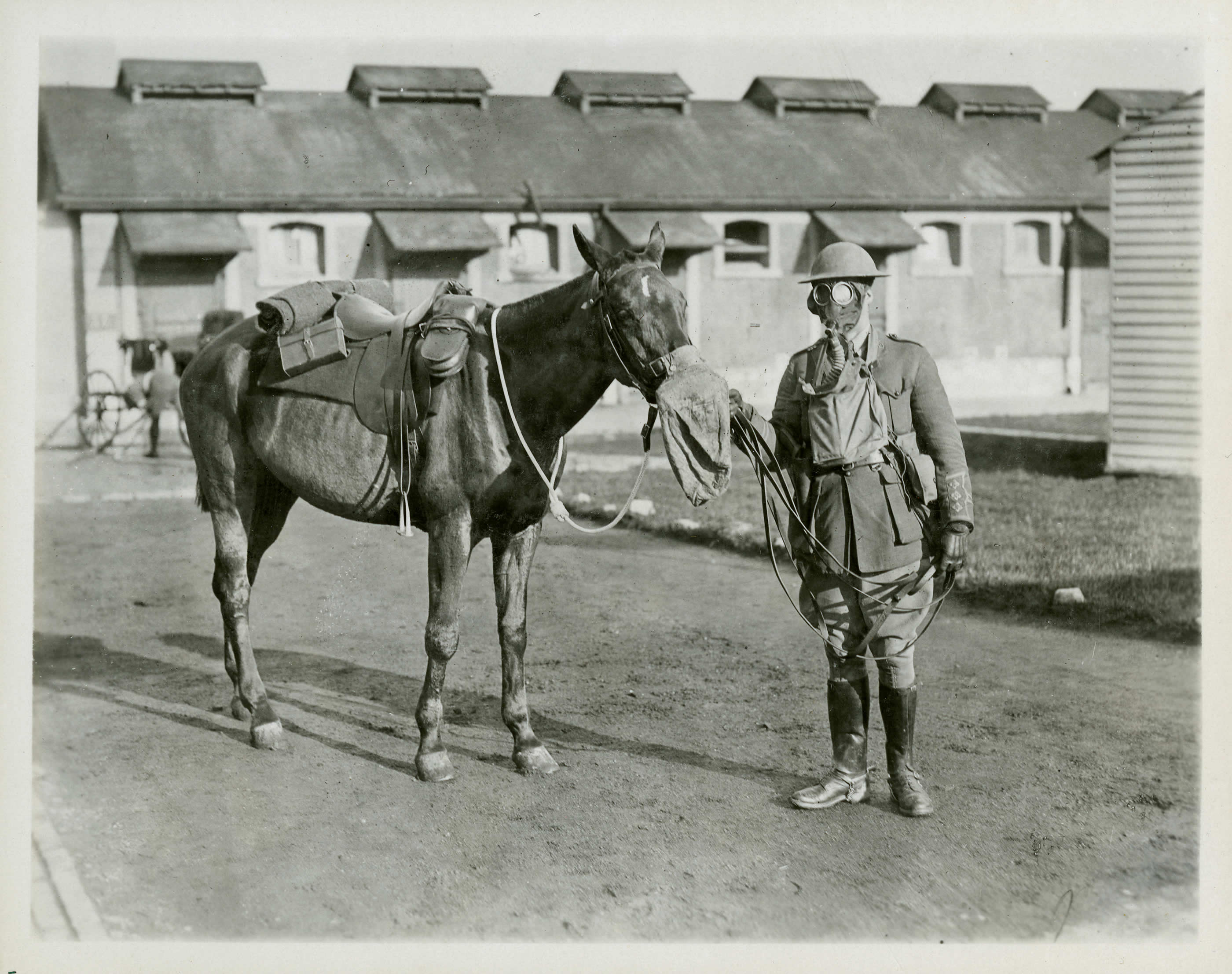 Protection des soldats et des chevaux