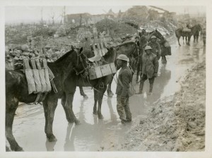 Chevaux de charge