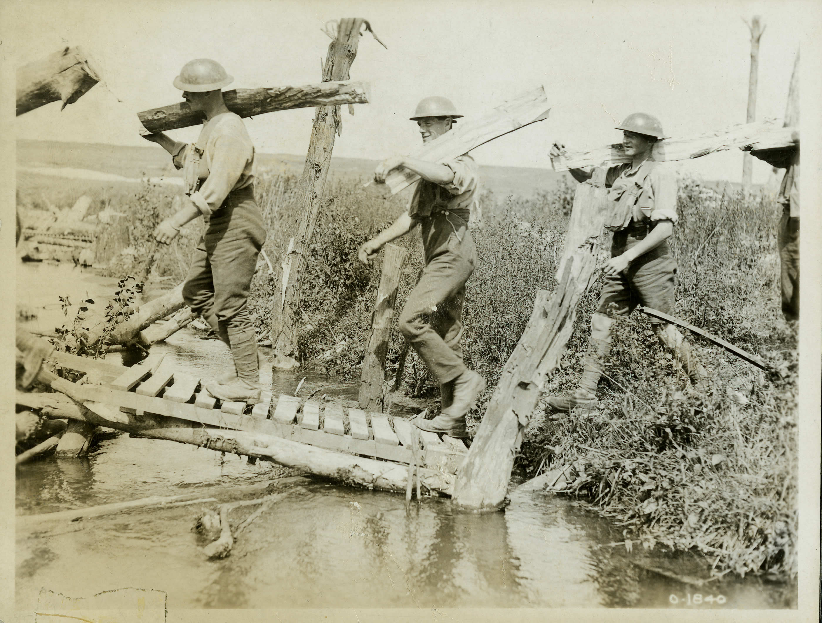 Transport du bois