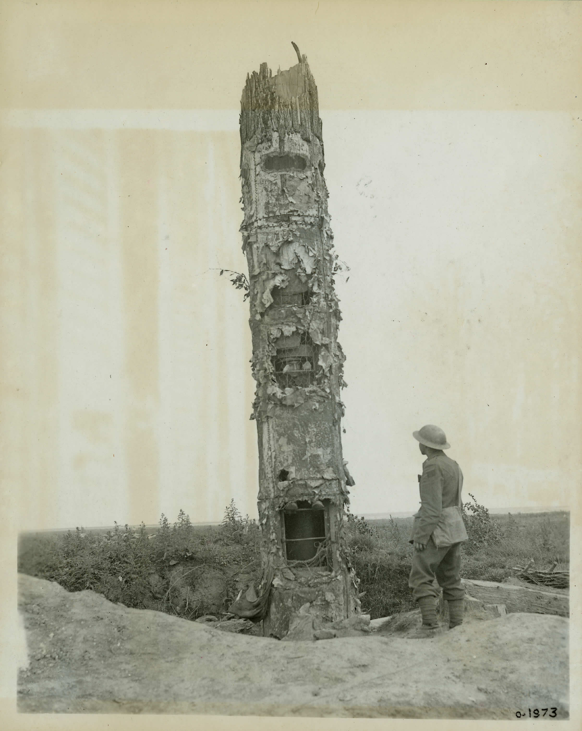 Poste d'observation dans un tronc d'arbre