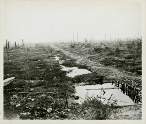 Paysage à Festubert