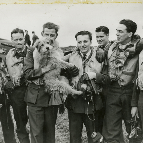 Eight membres de l'Aviation, portant tous des gilets de sauvetage, posent avec leur mascotte, un chien.