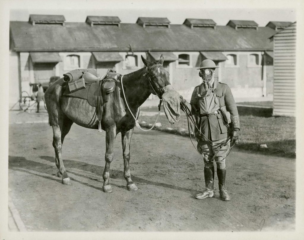 Un homme en uniforme portant un masque à gaz tient la tête d’un cheval, lui aussi protégé par un tel masque.