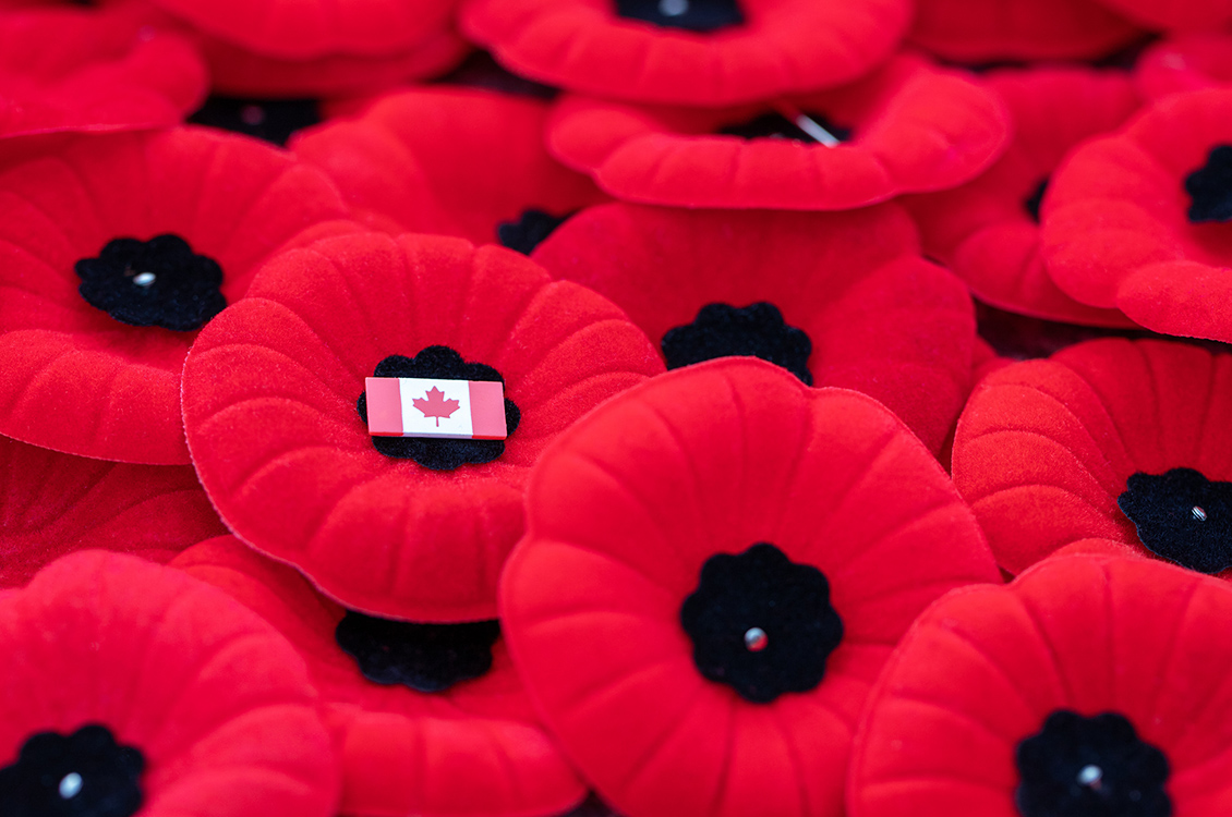 Des coquelicots